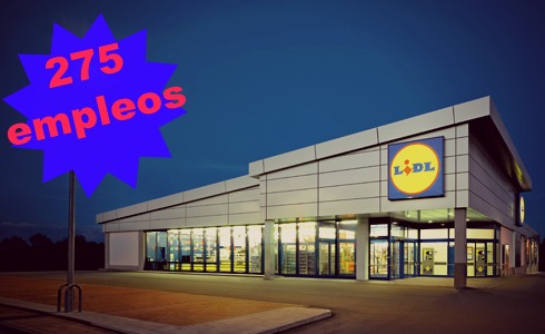 Lidl más de 250 empleos indefinidos - Blog OficinaEmpleo