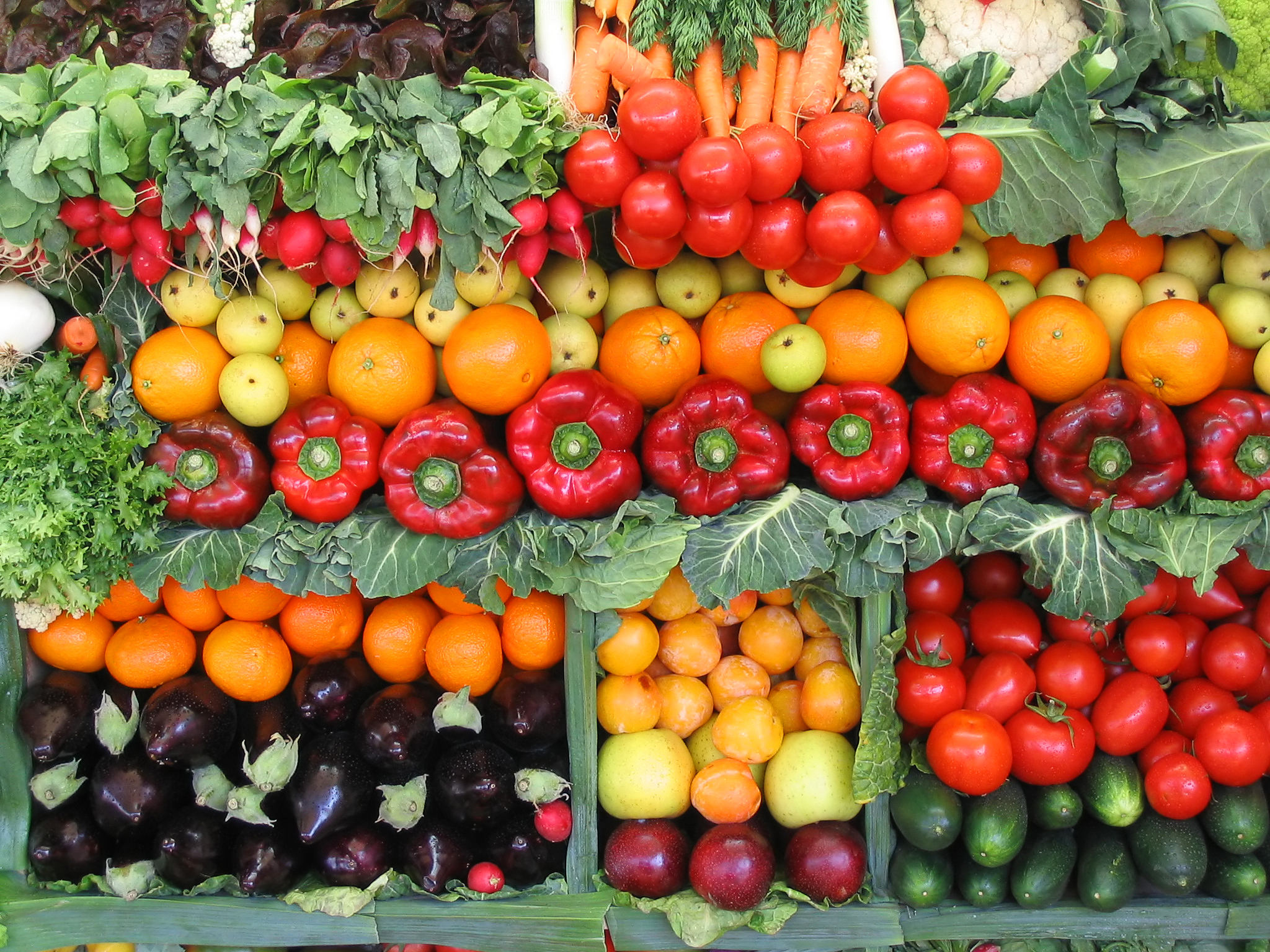Cómo trabajar en la recogida de fruta