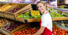 plantillas de cv gratis