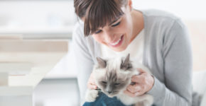 clinica veterinaria