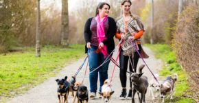 Dos mujeres pasean un grupo de perros. Kzenon (iStock)
