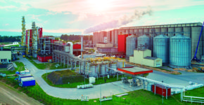 Planta de Biomasa