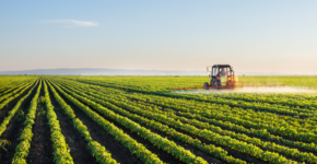 Se buscan trabajadores para fincas agrícolas en Andalucía