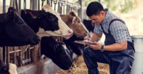 Hombre trabajando en una granja (iStock)